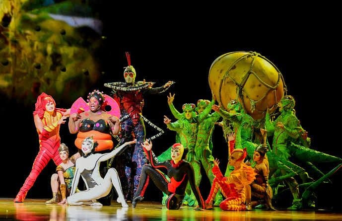 Шоу Цирка дю Солей (Cirque du Soleil) в Орландо