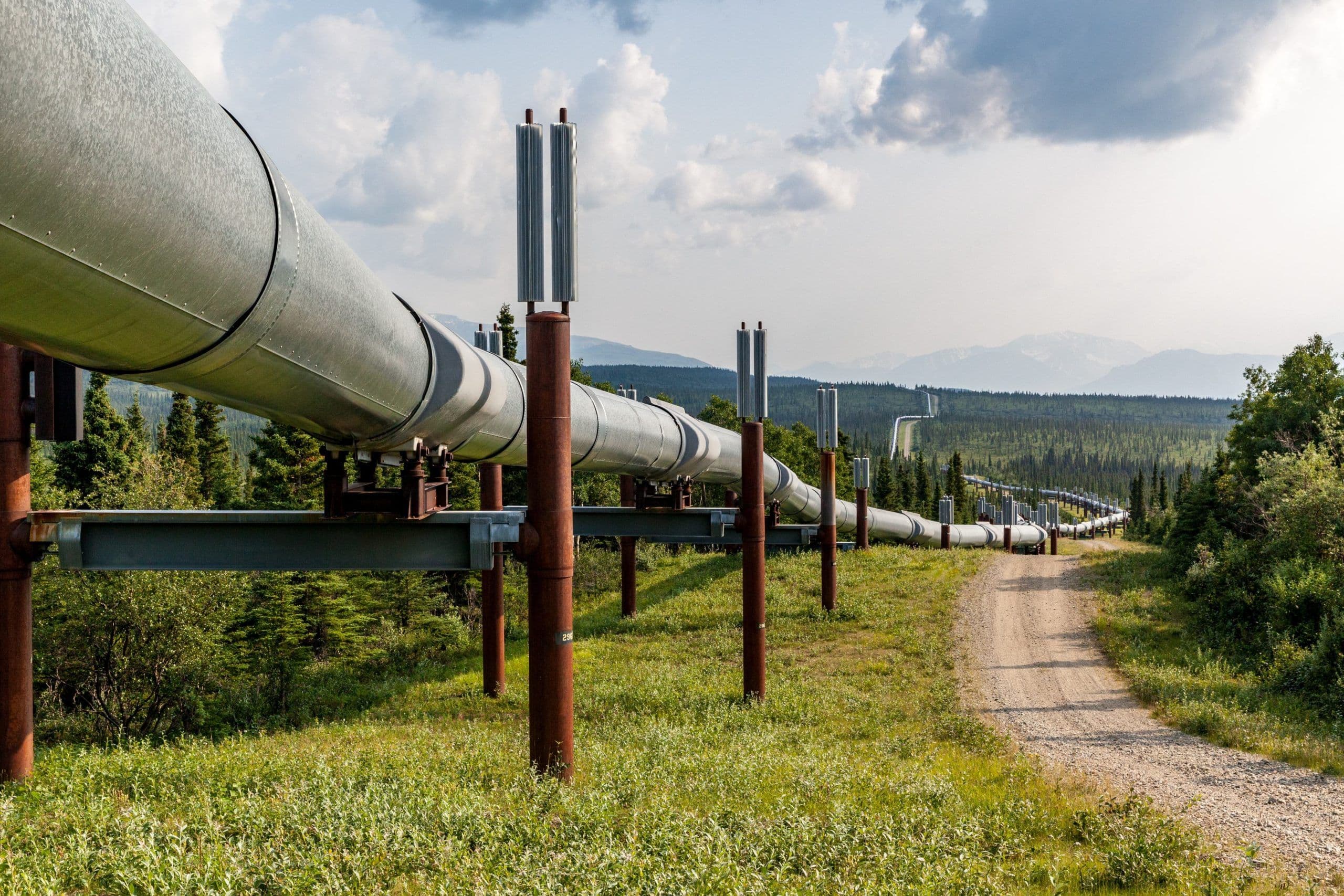 Трансаляскинский нефтепровод во время летнего тура по Аляске