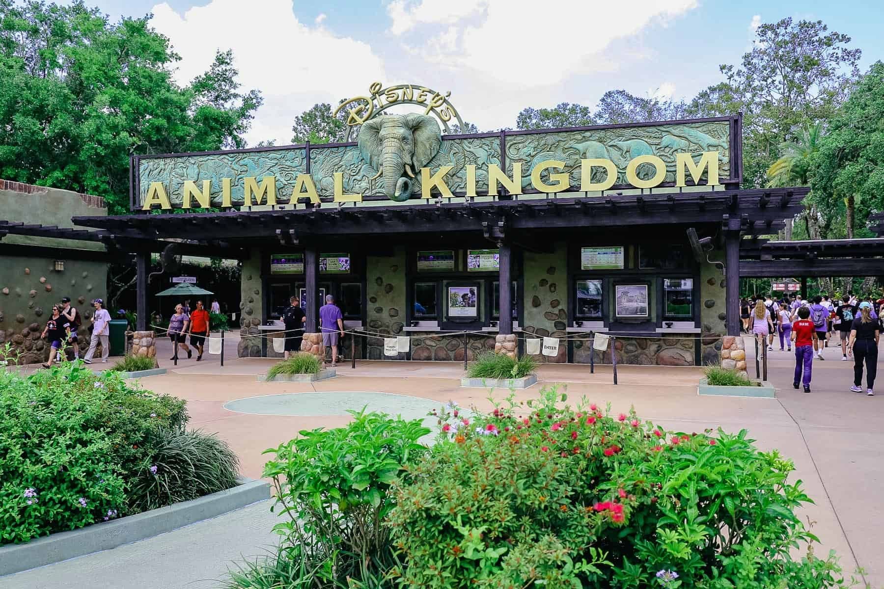 disneys-animal-kingdom