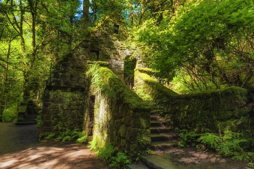 forest-park