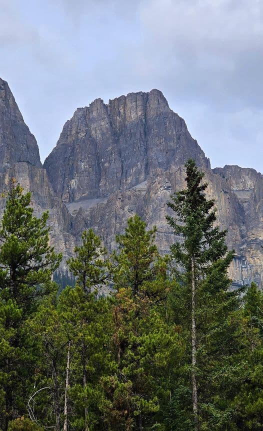 gora-zamok-castle-mountain