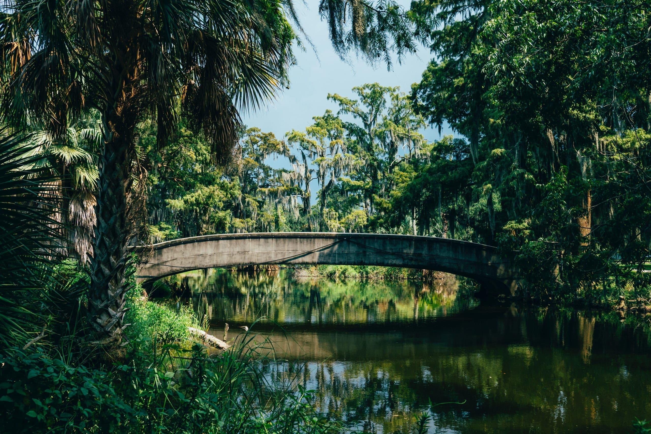 gorodskoj-park-novogo-orleana