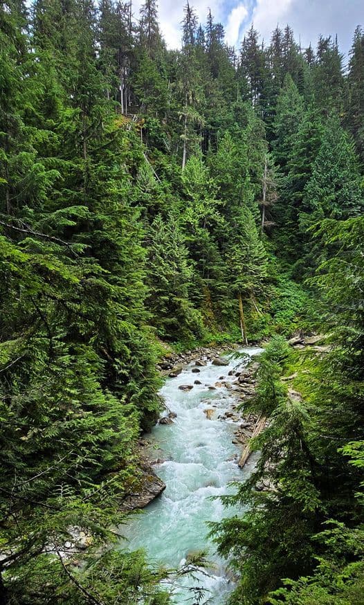 medvezhij-ruchej-bear-creek