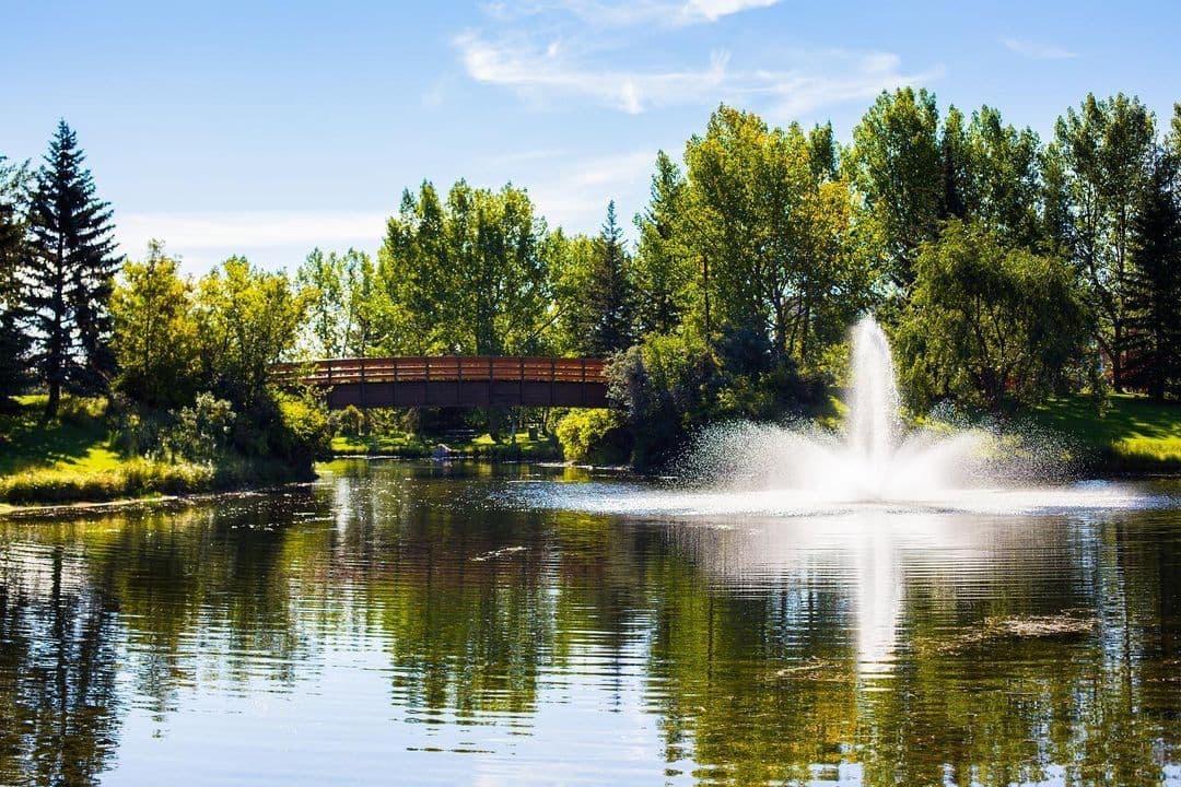 park-bauer-ponds