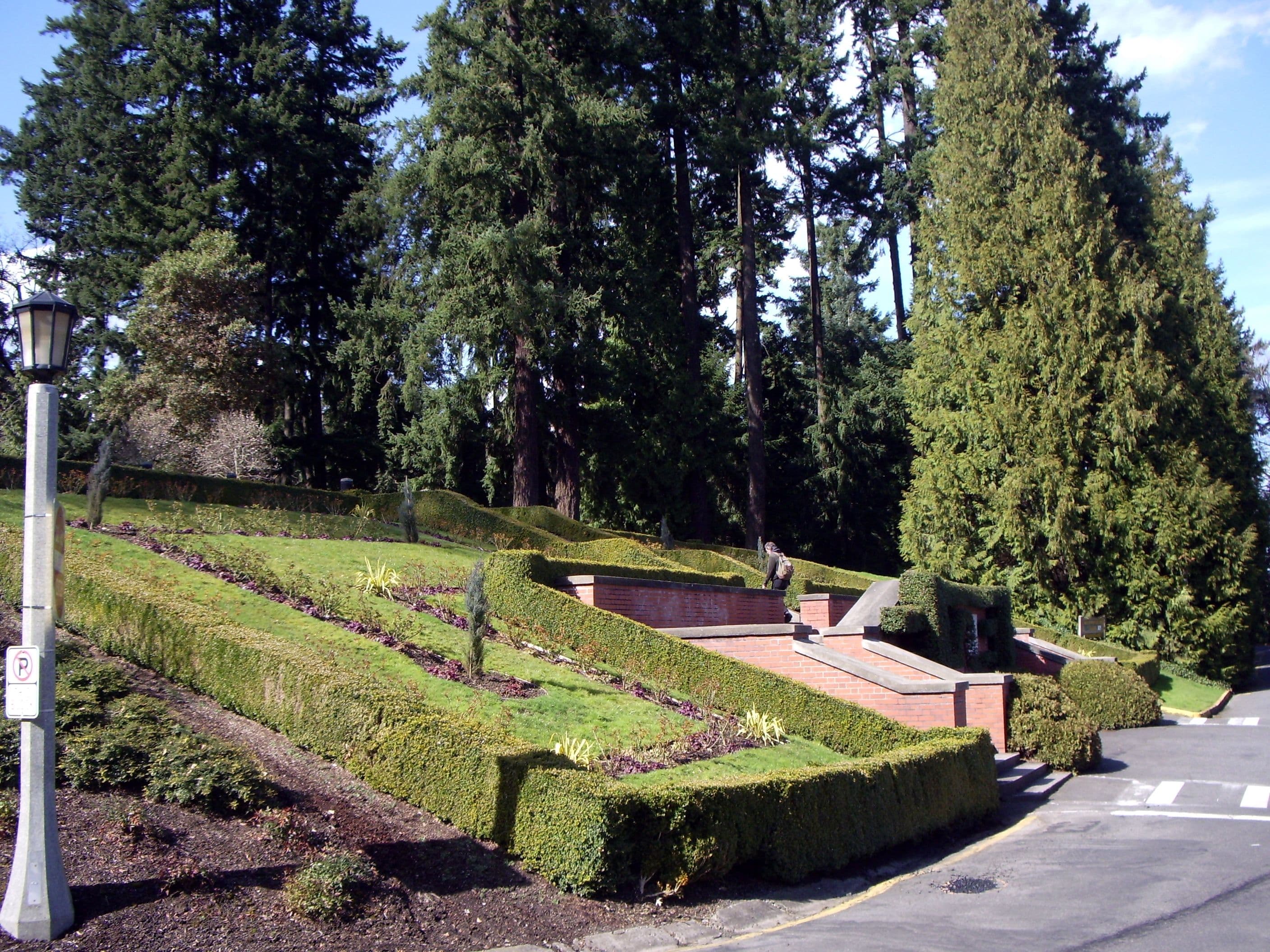 park-vashington-washington-park