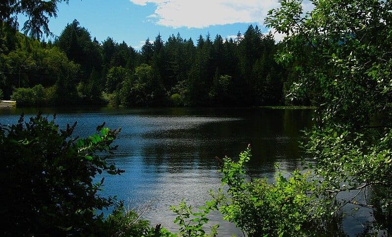 provinczialnyj-park-mauntinsajd