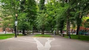 saut-park-bloki