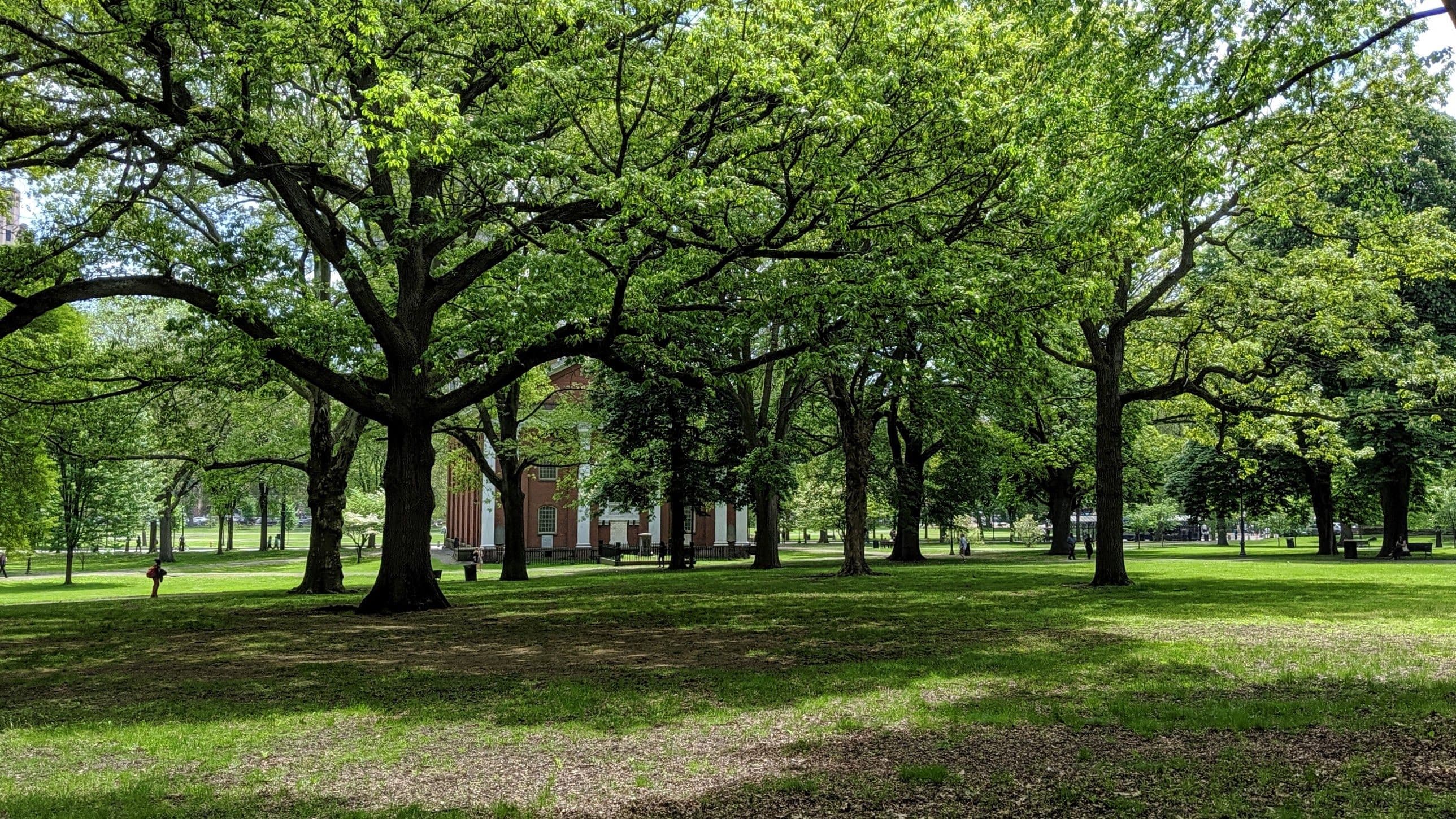 skver-new-haven-green