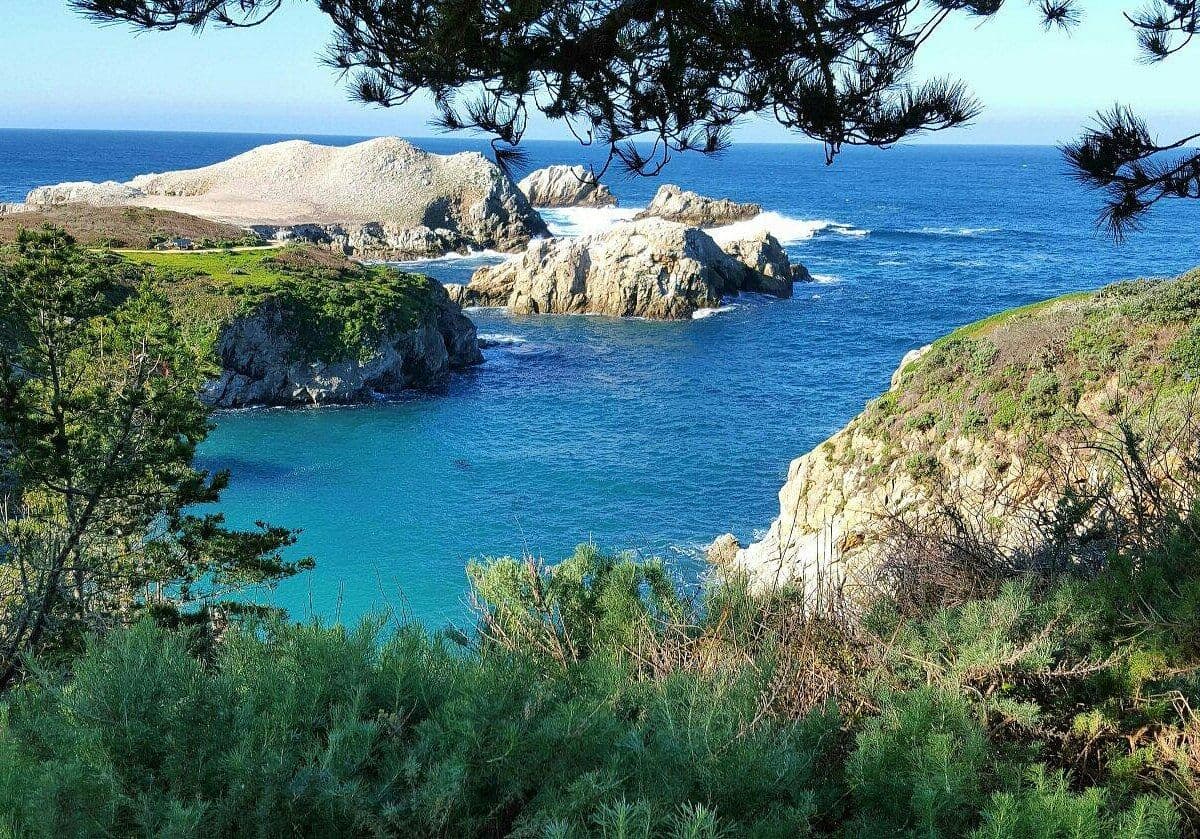 zapovednik-point-lobos