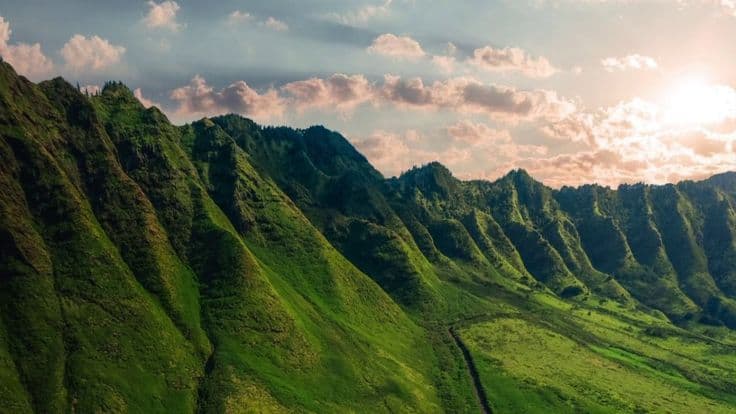 zelyonye-gory-green-mountains