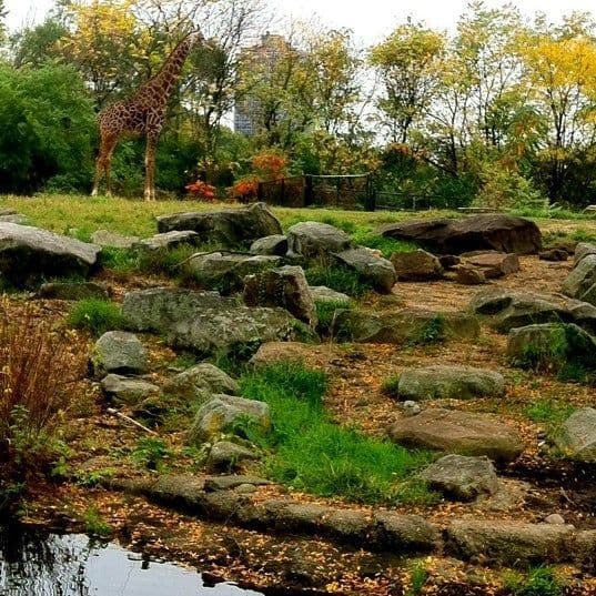 zoopark-pittsburga