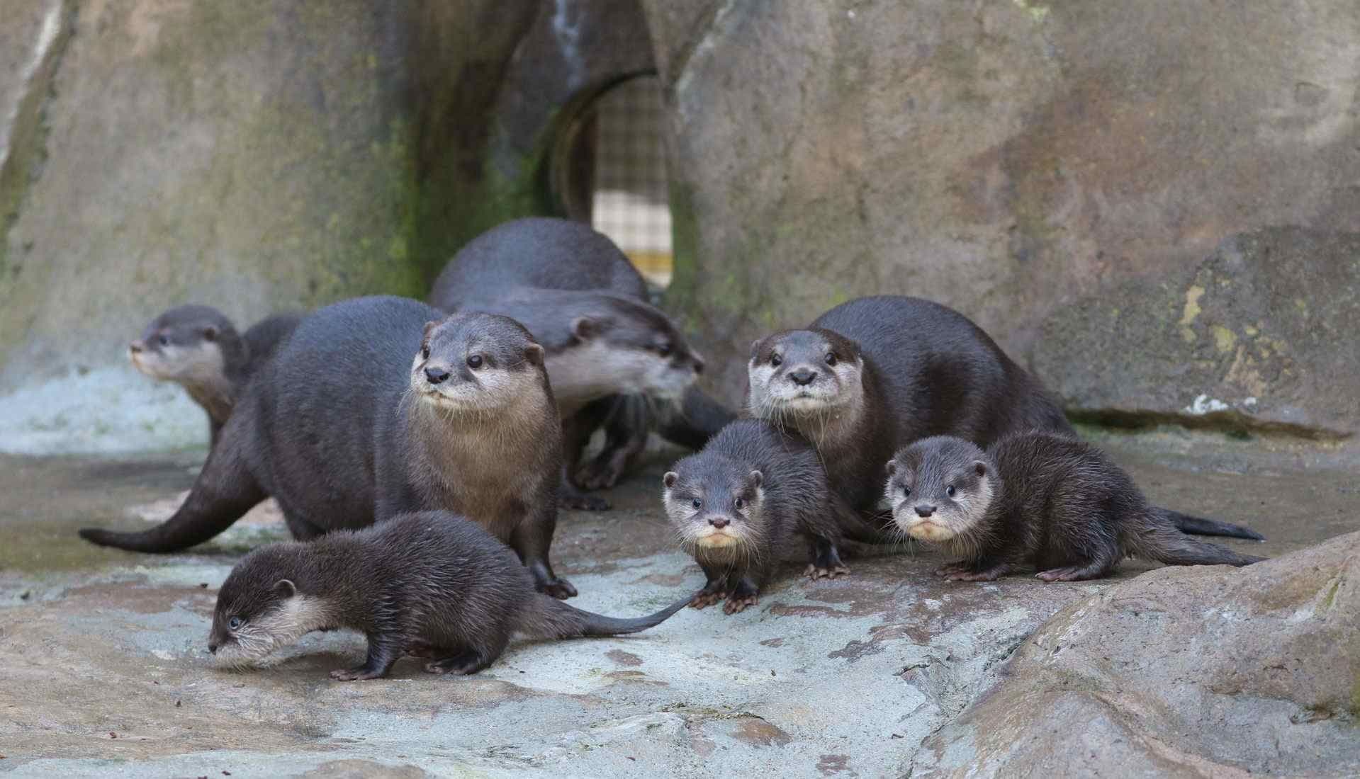 zoopark-santa-barbary
